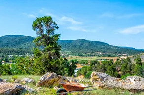 Redman: cabin on a hill above Ruidoso Downs Track - Image 5
