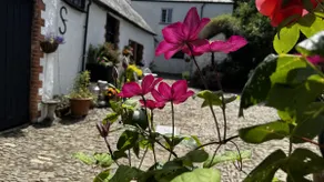 MONKLEIGH COACHMANS COTTAGE 1 Bedroom - Image 2