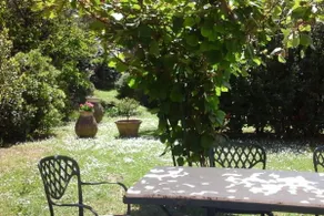 House in the woods – holiday rental in Ameglia, five - Image 4