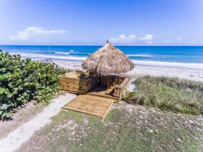 Salty Dog direct oceanfront luxurious retreat! - Image 2