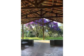 Unforgettable Days – Pet-Friendly Retreat in Ibiúna - Image 4