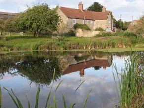 Cottage with garden - Image 3