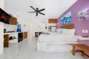 Studio in Centro - Walk to North Beach - Image 4