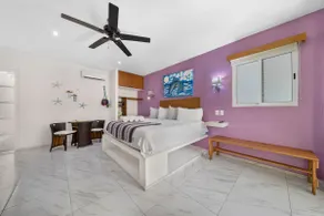 Studio in Centro - Walk to North Beach - Image 3