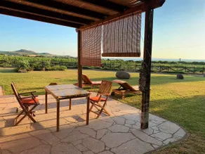 House Linas - Roccabianca biz - Image 3
