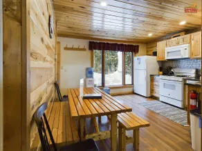 Bear Den-Secluded 2 Bedroom Cabin Located in the Hiawatha National Forest. - Image 4