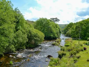 Fisherman's Cottage - The Nook - Image 2
