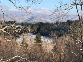 Minutes to AVL. Large Fenced-In Yard. Fast WiFi - Image 3