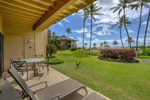 Breezy 2BR retreat steps from Lydgate Beach Park - Image 5