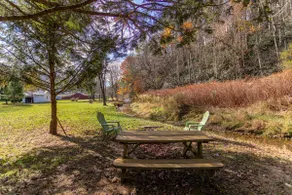 Baird's Creek Cabin ~ Mysig stuga, nära golf, Creekside - Image 3