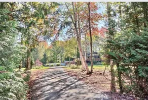 Le Coyote 5 acre private forest CITQ 320122 - Image 5