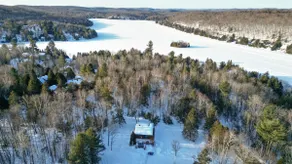 Le Coyote 5 acre private forest CITQ 320122 - Image 3