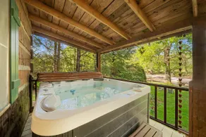 Bridgepoint Cabin: Walk to Watauga River, hot tub, play in the yard! - Image 3