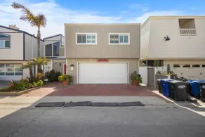 3441O Mollies by the Sea - Image 3