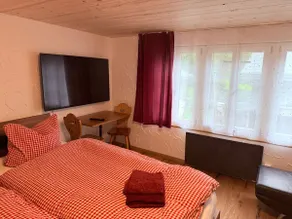 Vintage Apartment (15 min to ski resort) - Image 4
