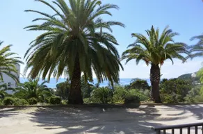 I CARDELLINI 4 - PISCINE EN RESIDENCE - CLIM-VUE MER - Image 3