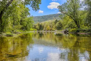 Chesnutt Cabin on the Cacapon River - Image 3