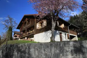 Chalet i bjergby nær La Clusaz og Le Grand Bornand - Image 2