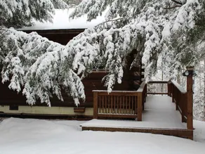 Trillium Cabin-Cabin-Hot Tub-Moon of - Image 3