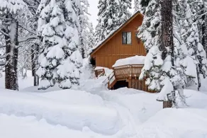 Near Hiking & Skiing: Bear Valley Cabin! - Image 3