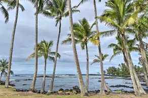 Hilo Oasis - 32 Mi to Volcanoes National Park - Image 2