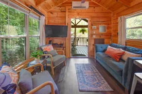 Elise Cabin - Ft. de Lookout Mountain, Forêt Nationale - Côté Ville - Image 4