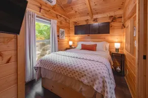 Elise Cabin - Ft. de Lookout Mountain, Forêt Nationale - Côté Ville - Image 5