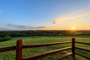 The View - Image 3