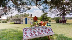 Big Oak Farmhouse - Farm fresh eggs! - Image 4