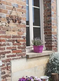 La Ferme de Flo' - Image 5