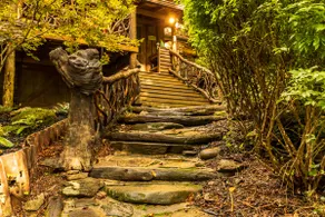 Tranquil Cabin by the Creek - Digital Detox - Image 2
