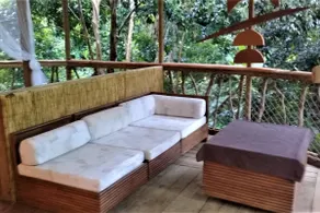 Treehouse of the Royal Palm - Image 3