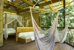 Treehouse of the Royal Palm - Image 4
