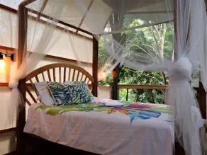 Treehouse of the Royal Palm - Image 2