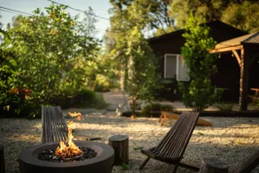Koi on Toyan | Fire Pit, Walk to Brewery, Traeger - Image 4