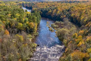 Soak, Relax & Explore! Walk to Wolf River - Image 3