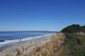 Ocean view!  Fantastic Seascape Resort 1 Bedroom-Newly Remodeled! - Image 4