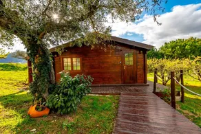 Quinta do Quinto - Oliveira House - Image 2