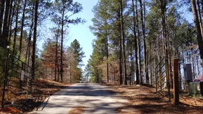 4 BR Luxury Waterview Cabin, Hot Tub, Fishing Lake - Image 4