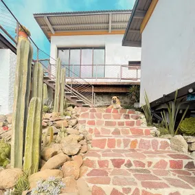 Native Residence - Image 3