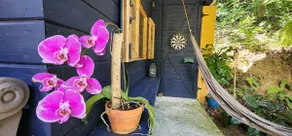 Tiny Cozy Mountain Cabin Peaceful Retreat in Cayey - Image 3