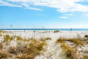 Amazing View 4BR Oceanview Grayton Beach - Image 4