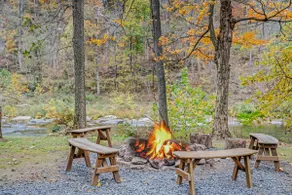 River Time Cabin - Riverfront, Hot Tub, Screen Porch, Fishing, Games, View, 3 King Beds - Image 3
