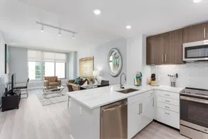 Beautiful near Metro 1BR in Downtown Bethesda - Image 3