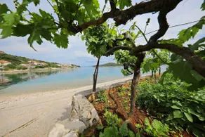 Knež - Relaxing Apartments Near the Sea on Mali Iž - Image 5