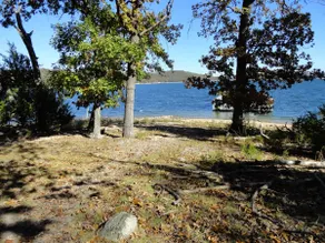 Shady Rock 1 - Lakefront med en nem gåtur til søen. Gå til svømmebassin! - Image 2