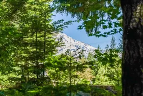 Beautiful Cabin With Partial Views of Mt. Adams - Image 3
