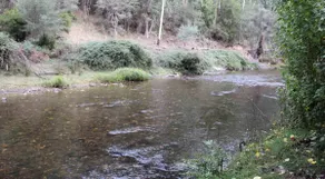 Goulburn River Cottage - River Front - Image 3
