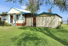 Melaleuca - Haustierfreundlich - Image 3