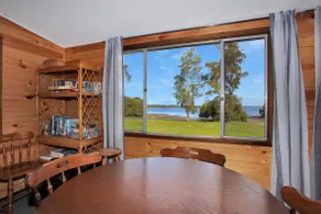 Melaleuca - Haustierfreundlich - Image 5